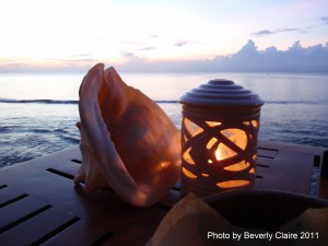 Conch shell and candle.