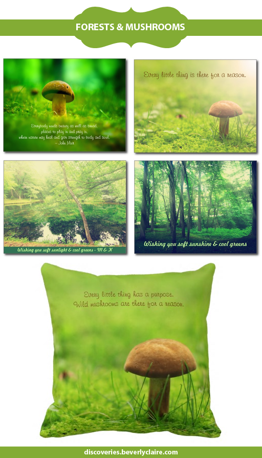 Forests and Lakes postcards | Wild Mushrooms gifts