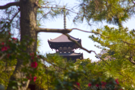 The pagoda seen through a tree.